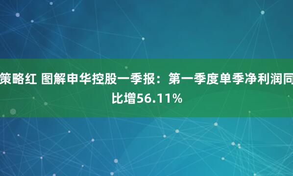 策略红 图解申华控股一季报：第一季度单季净利润同比增56.11%