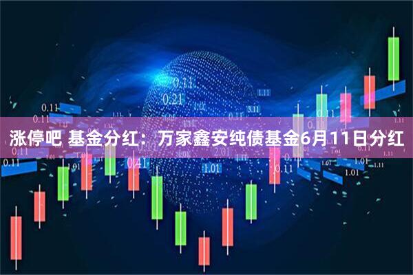 涨停吧 基金分红：万家鑫安纯债基金6月11日分红